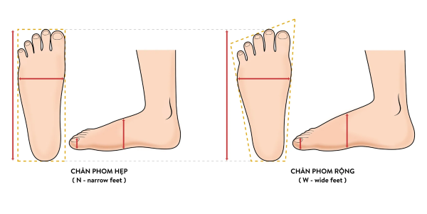 Cách chọn giày đá bóng sân cỏ nhân tạo theo form bàn chân