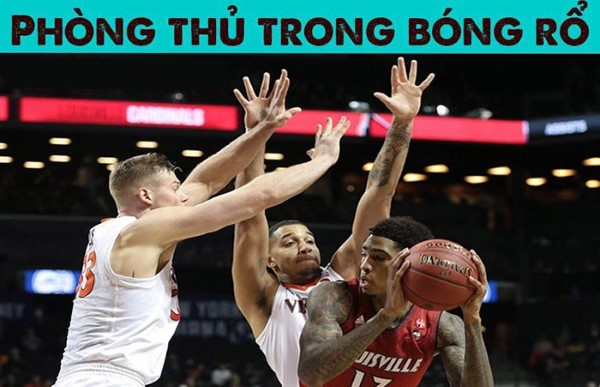 Tư thế phòng thủ (Defensive Stance)