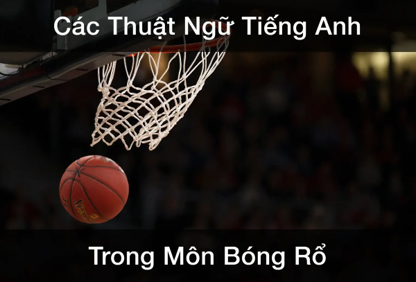 Thuật ngữ sân bóng rổ tiếng Anh là gì?