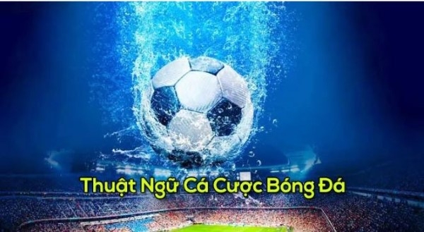 Các thuật ngữ cơ bản trong cách đọc kèo bóng đá