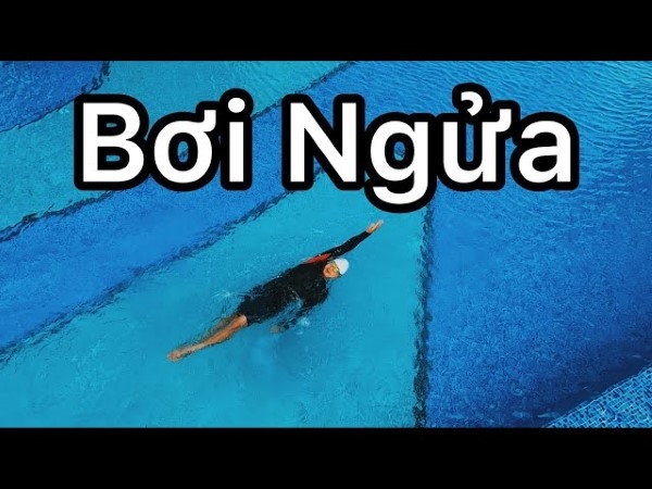 Bơi ngửa là gì?