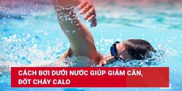 Bơi lội giúp giảm cân và đốt cháy calo