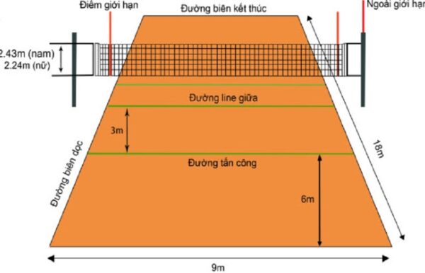 Kích thước sân bóng chuyền tiêu chuẩn cho thi đấu