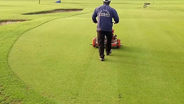 Việc chăm sóc cỏ sân golf định giúp giữ gìn độ bền vững của sân Golf