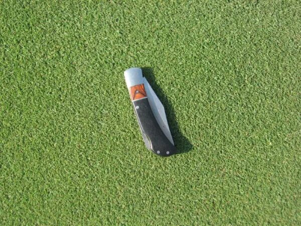 Cỏ Bentgrass