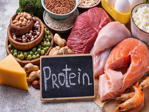 Tăng khối lượng Protein trong chế độ ăn hằng ngày