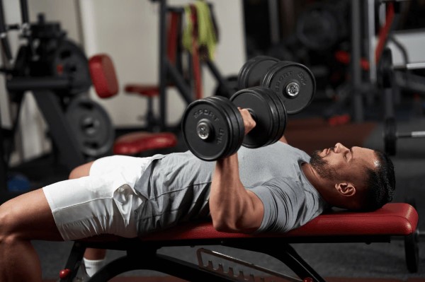 Bench Press (Đẩy tạ ngực)