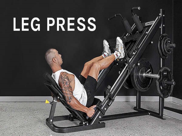 Bài tập Leg Press (Đạp chân với máy)