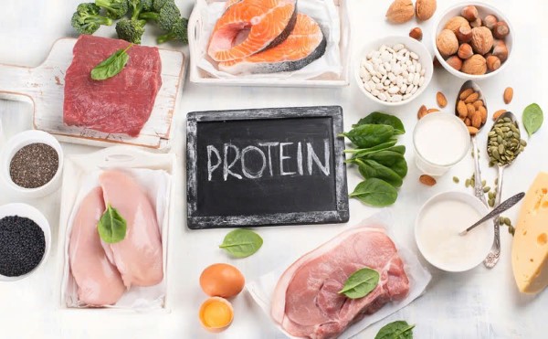 Protein - Nền tảng cho sự phát triển cơ bắp