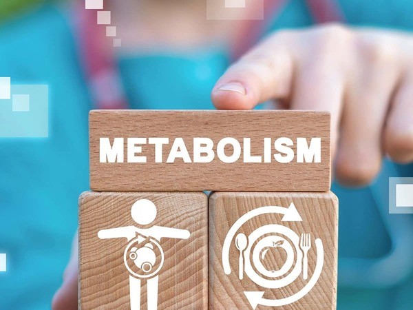 Dấu hiệu nhận biết cơ thể hấp thụ Metabolism chậm so với fast metabolism là gì?