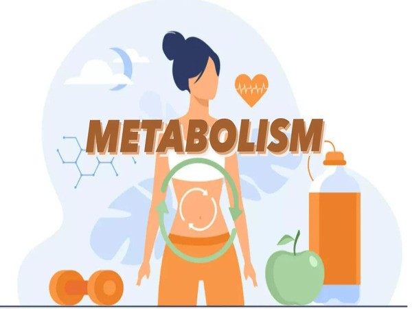 Metabolism là gì? Giới thiệu về quá trình Metabolism