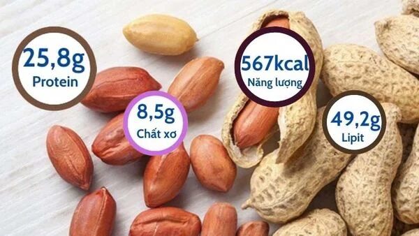 100g Đậu phộng bao nhiêu Protein? Giá trị dinh dưỡng