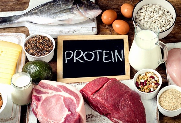 Kết hợp cả hai loại nguồn protein động vật và thực vật sẽ giúp tối ưu hóa sự hấp thụ