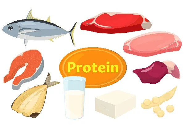 So sánh hàm lượng Protein trong Cá Diêu Hồng với các loại thực phẩm khác