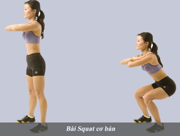Bài tập squat cơ bản