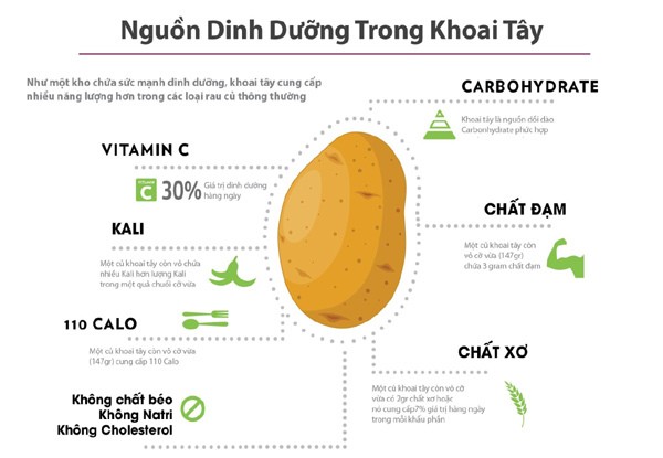 Khoai tây bao nhiêu Protein? Hàm lượng protein trong khoai tây