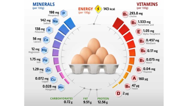 Những thành phần dinh dưỡng khác có trong trứng