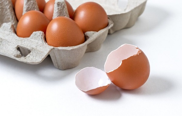 Hàm lượng protein dồi dào trong trứng gà