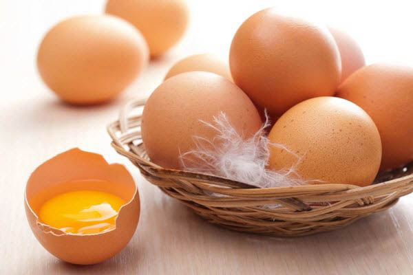 Tầm quan trọng của protein từ trứng gà đối với cơ thể