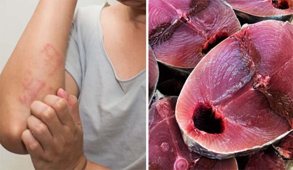 Những lưu ý khi sử dụng cá Thu