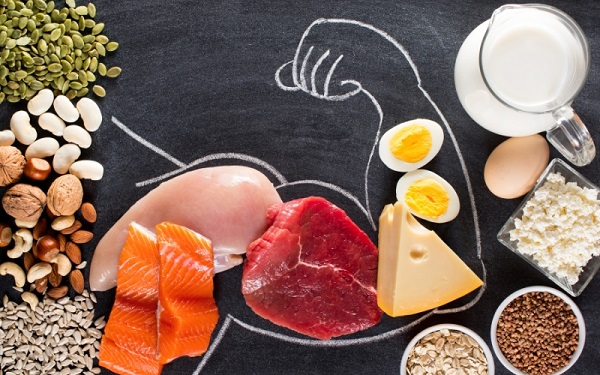 Protein đóng vai trò quan trọng trong quá trình phục hồi cơ bắp
