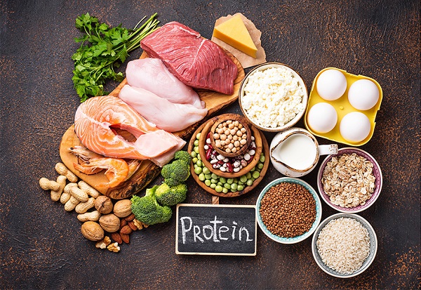 Protein - nguồn năng lượng cho cơ thể