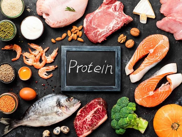 Nguồn protein từ động vật: sự lựa chọn đa dạng
