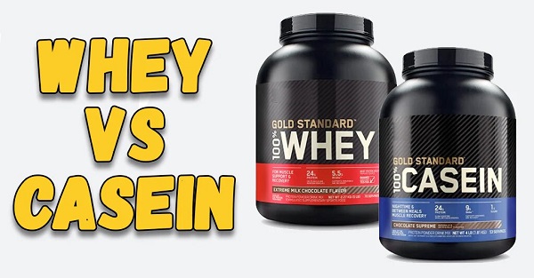 Whey protein và casein protein: sự bổ sung tiện lợi