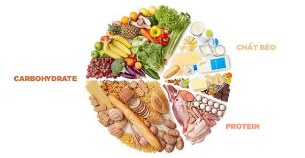 Protein, carbohydrate và chất béo là ba nhóm chất dinh dưỡng