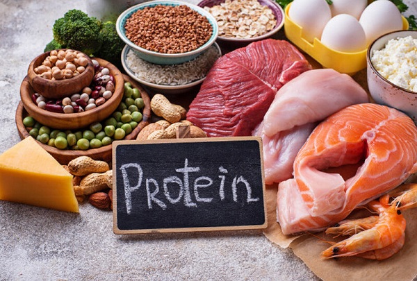 Lượng protein phù hợp: không phải càng cao càng tốt