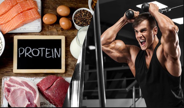 Mức độ hoạt động thể chất là yếu tố ảnh hưởng đến nhu cầu Protein