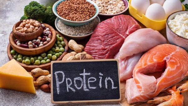 Nguồn protein tốt nhất