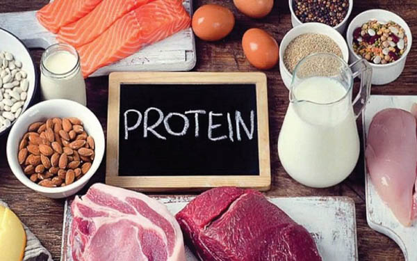 Protein 7 và sự hỗ trợ hệ miễn dịch