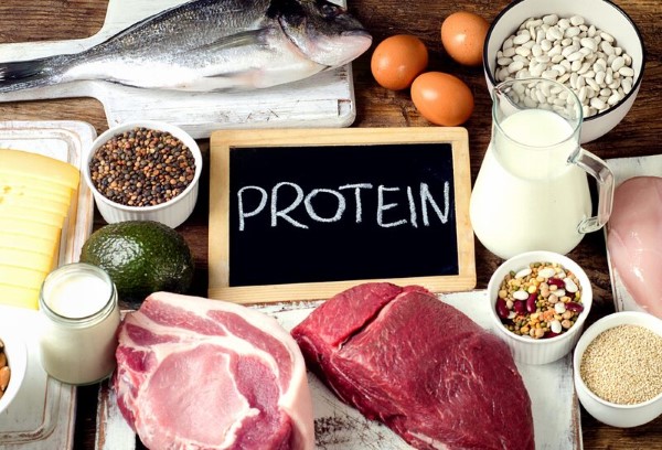 Nguồn cung cấp protein đa dạng: Lựa chọn thông minh cho chế độ ăn uống