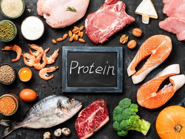 Lựa chọn nguồn protein chất lượng cao