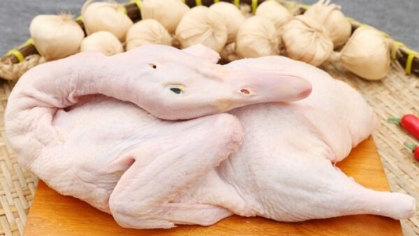 Protein trong thịt vịt
